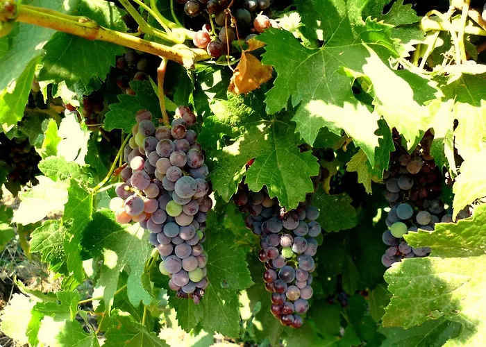 Relax By The Sea, Bulgaria,nesebar,aheloy Apartment Aheloy